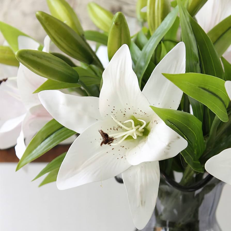 lily⭐︎ Arbatax – Golden Flowers